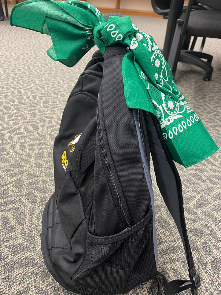 green bandana on backpack -resized.jpg